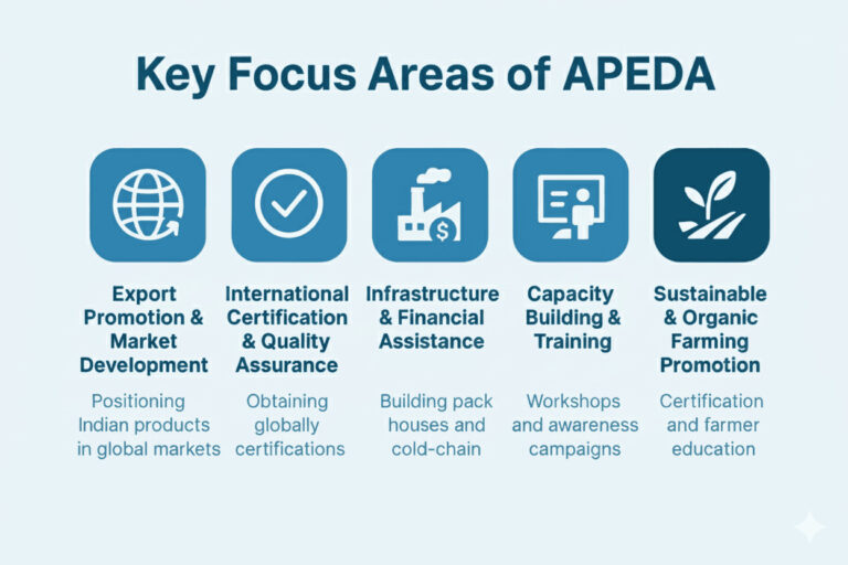APEDA registration key focus areas are export promotion, certification, infrastructure support, training, and sustainable organic farming initiatives by the Agricultural and Processed Food Products Export Development Authority.